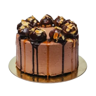 Торт «Шоколадка с профитролями»